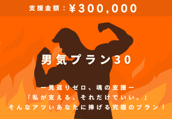 男気プラン30（30万円）